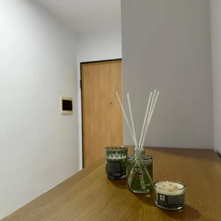 Olis Place 公寓 地拉那